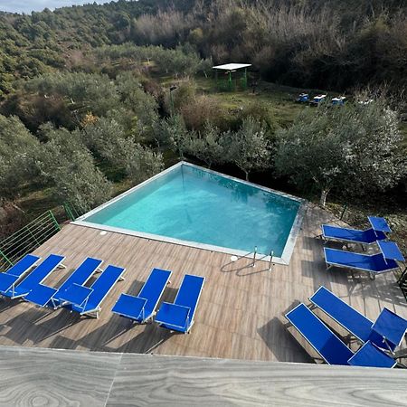 Qyteza Guest House & Camping Shkodër Eksteriør billede