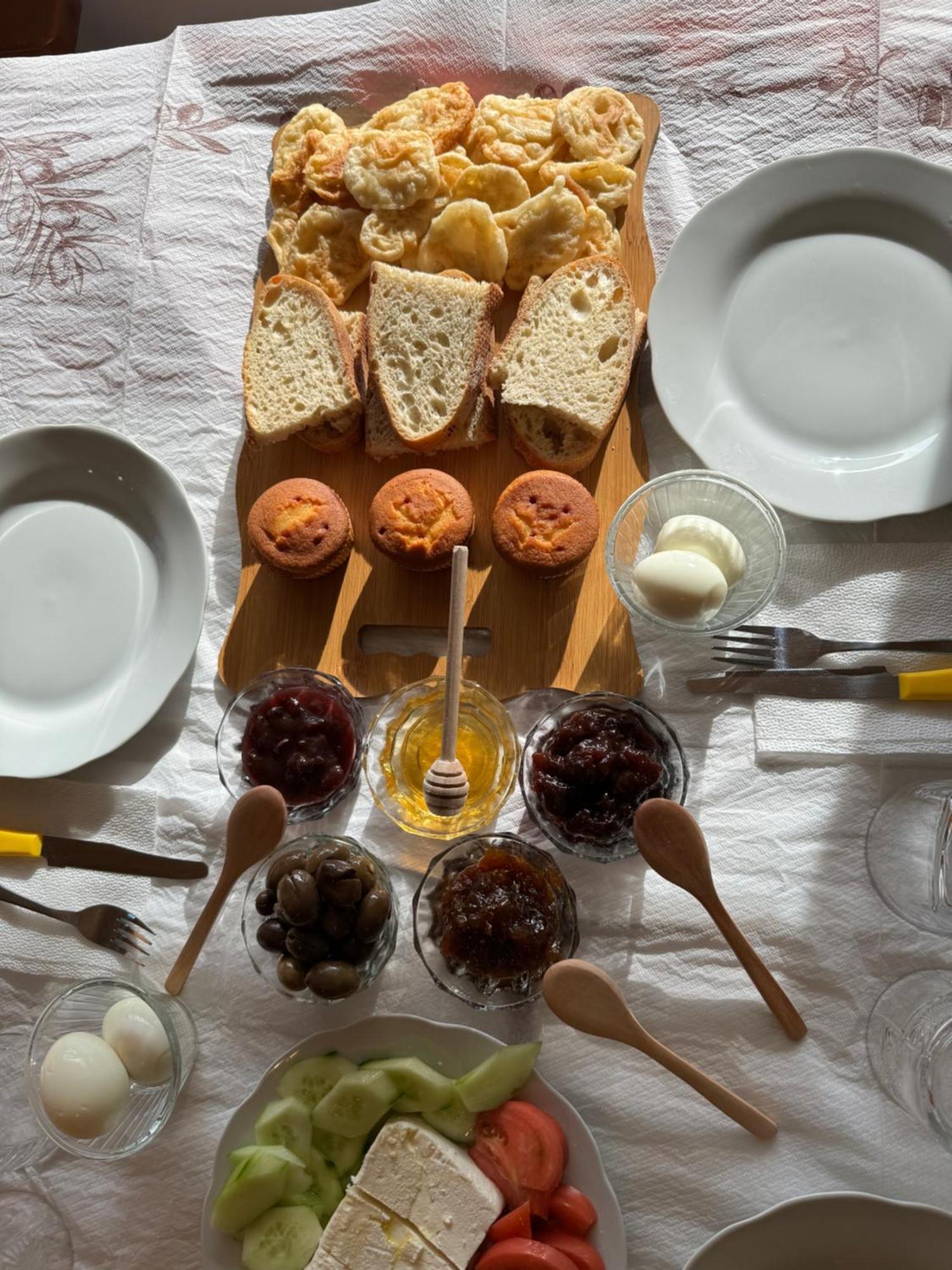 Qyteza Guest House & Camping Shkodër Eksteriør billede