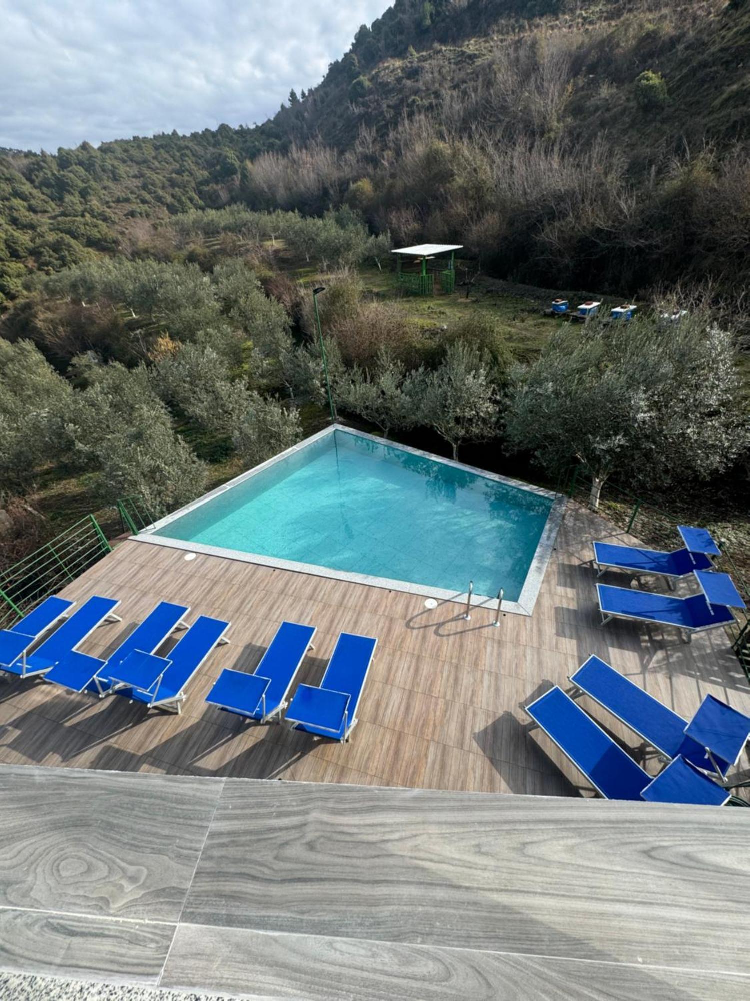 Qyteza Guest House & Camping Shkodër Eksteriør billede